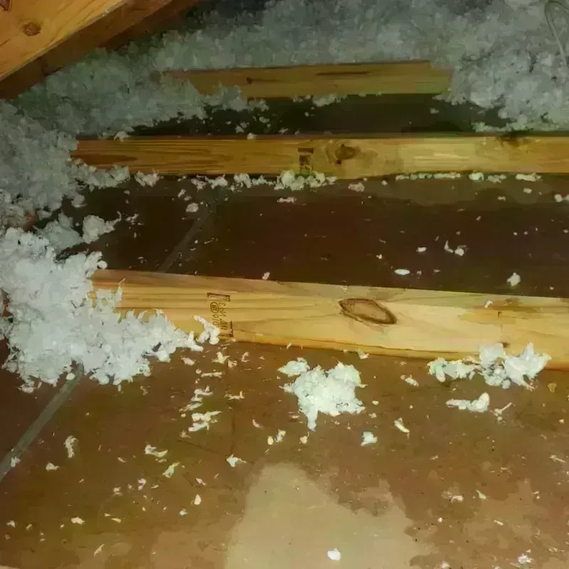 Attic Water Damage in Auburn, MA